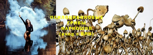 прущая мука Бугульма