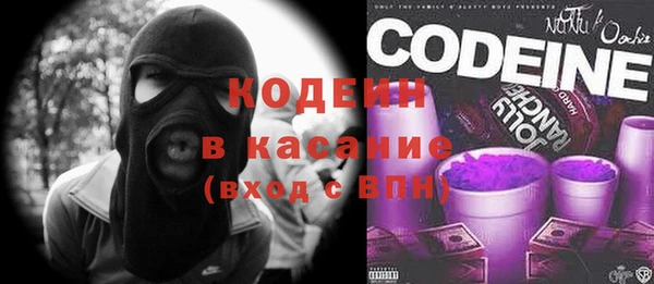 молекула духа Бородино