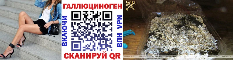 закладки  Гудермес  Галлюциногенные грибы Magic Shrooms 