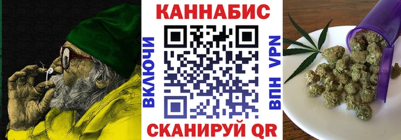 Конопля гибрид Гудермес